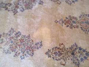big rug oxi
